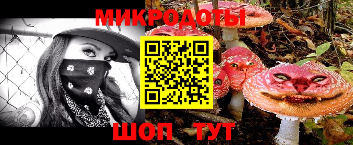 Галлюциногенные грибы прущие грибы  Псилоцибиновые грибы Psilocybine cubensis  Кирово-Чепецк  Вход с VPN 