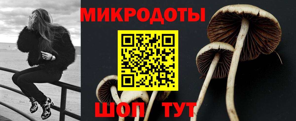 Галлюциногенные грибы Psilocybine cubensis Кирово-Чепецк